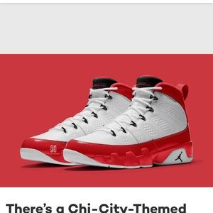 Meet your Posher, Harry